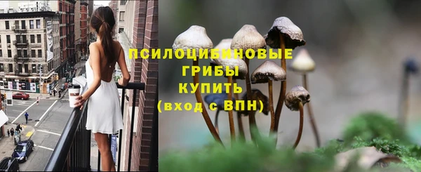 spice Алексин
