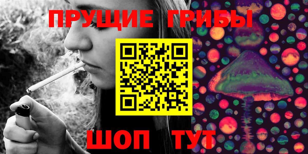 Галлюциногенные грибы Psilocybine cubensis Сосновый Бор