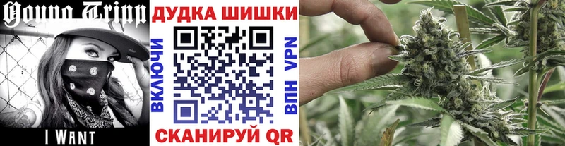 сколько стоит Сосновый Бор Бошки марихуана LSD WEED