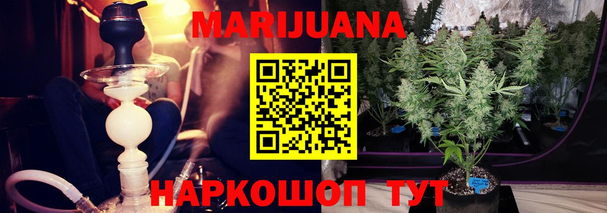 Бошки марихуана план  Вход с VPN  Конопля White Widow  Конопля марихуана  Сосновый Бор 